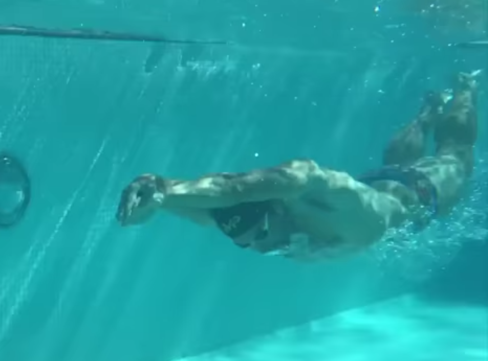 Michael Phelps: o treinamento que criou o maior nadador da história